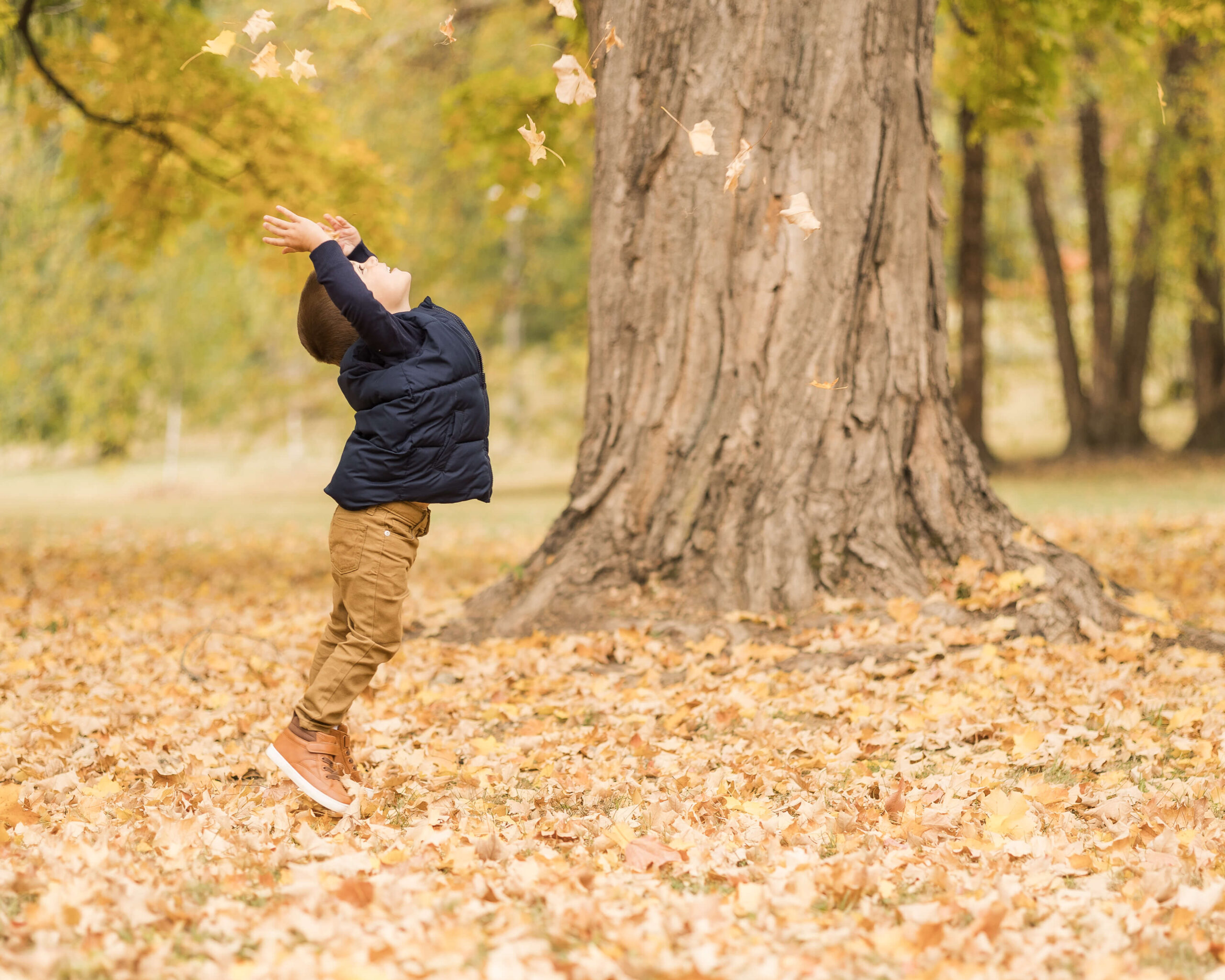 A happy toddler boy in a black jacket and khakis tosses fall leaves over his head in a park after visiting preschools in springfield, il