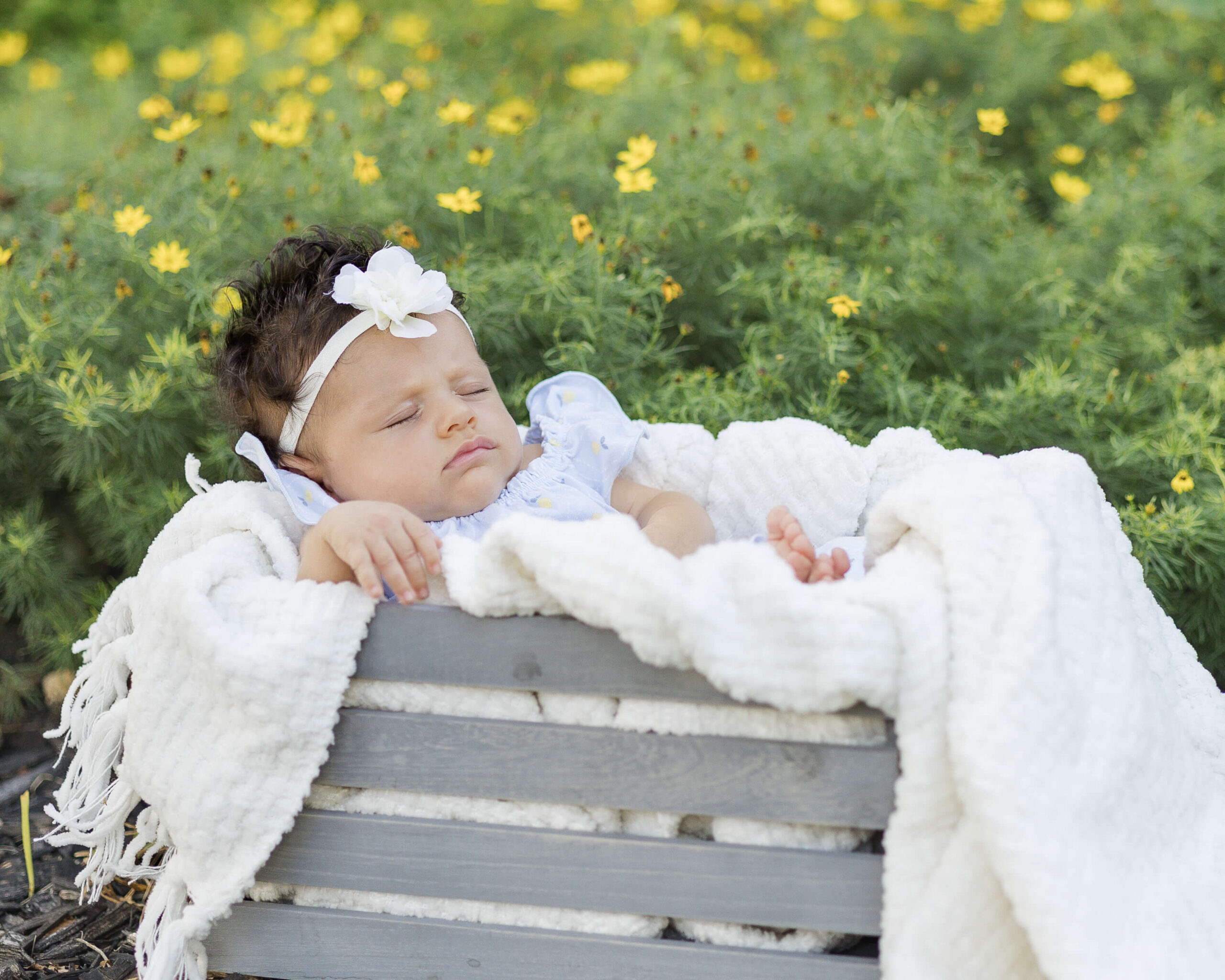A baby baby girl in a blue dress sleeps in a wooden basket and blanket in a garden with yellow flowers after enjoying childcare in springfield, il