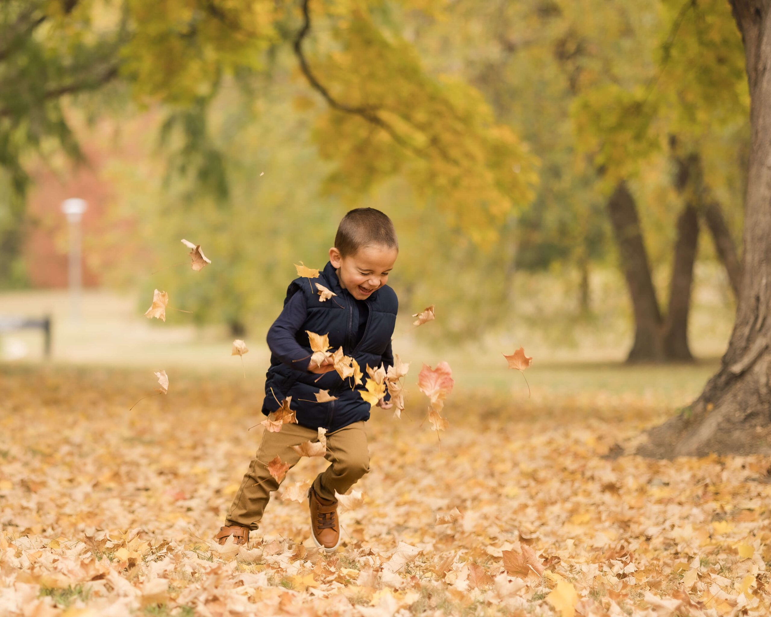 A toddler boy laughs while playing in leaves in a park under trees in a blue sweater